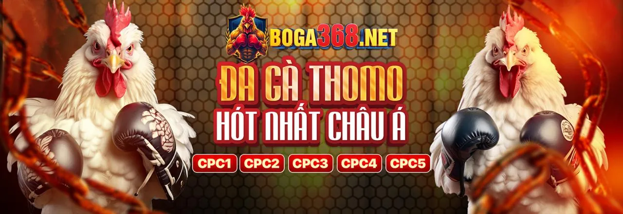 Đá Gà Trực Tuyến awin68 login